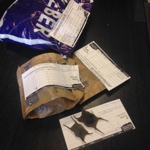 sciences participatives Nausicaa capsules oeufs de raie CapOera