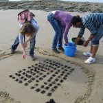 sciences participatives Nausicaa capsules oeufs de raie CapOera